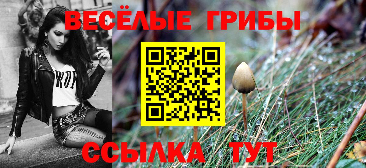 Псилоцибиновые грибы прущие грибы Ялта