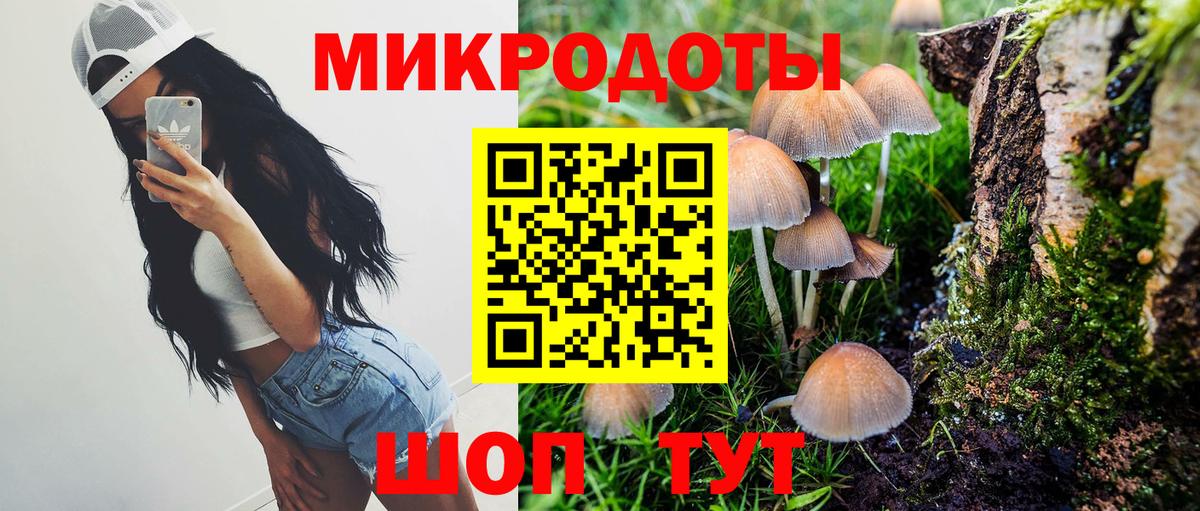 Ялта  Псилоцибиновые грибы Psilocybine cubensis  как найти наркотики  Вход с VPN 